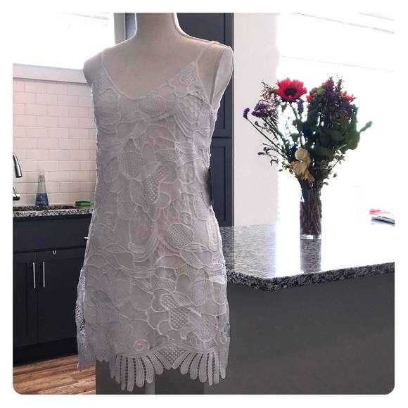 Express white Lace Trapeze Dress - Picture 3 of 7